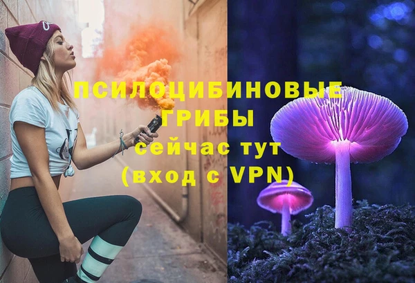 спиды Струнино