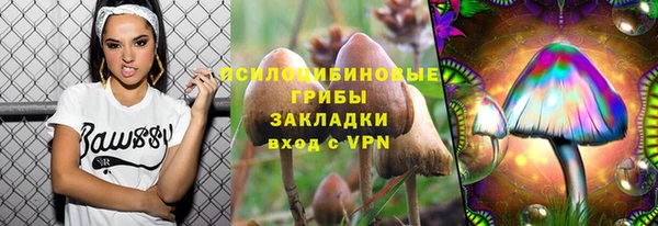 спиды Струнино
