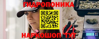 прущий лед Бийск