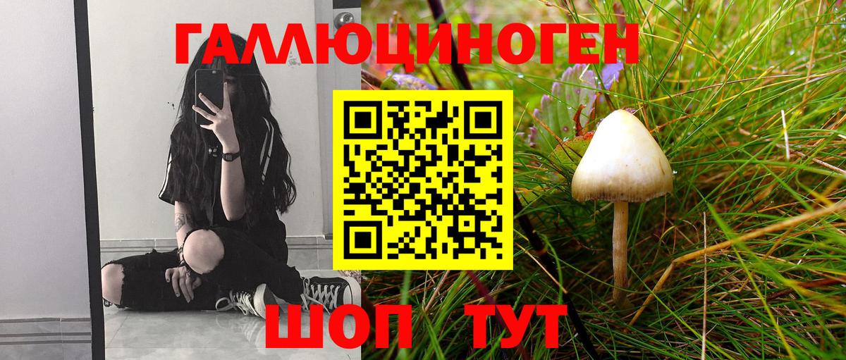 Псилоцибиновые грибы Psilocybe  Галлюциногенные грибы мухоморы  Ростов-на-Дону 