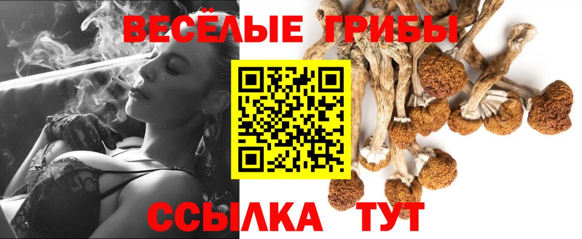 Галлюциногенные грибы Cubensis Ростов-на-Дону